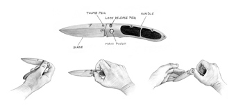 Illustration